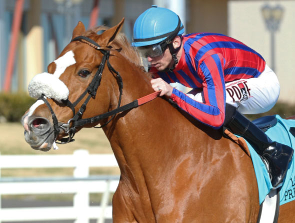 delta downs racing image