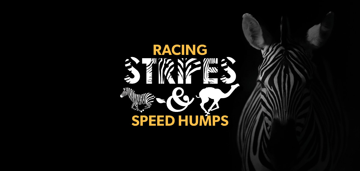 Racing Stripes & Speed Humps