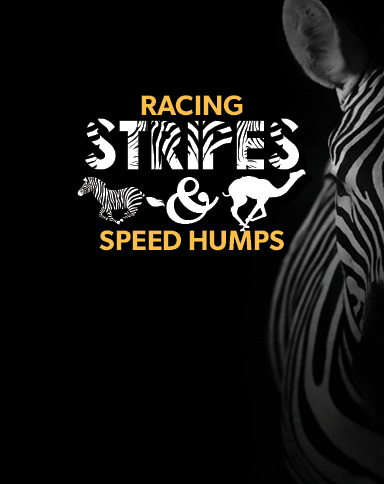 Racing Stripes & Speed Humps