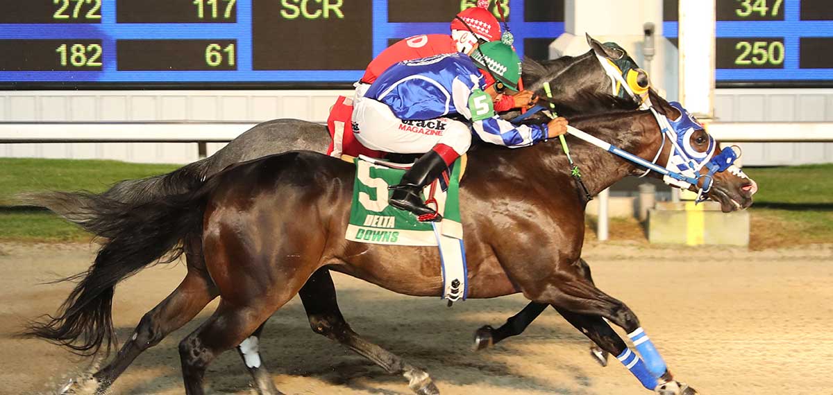 delta downs racing image