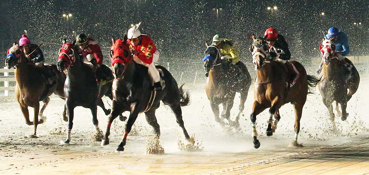 delta downs racing image