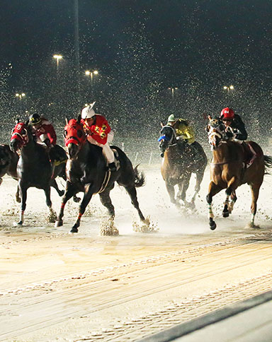 delta downs racing image
