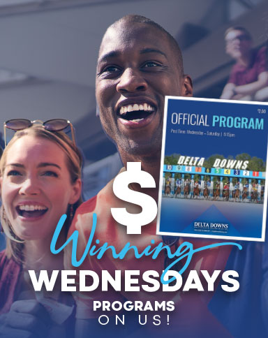 program giveaway image