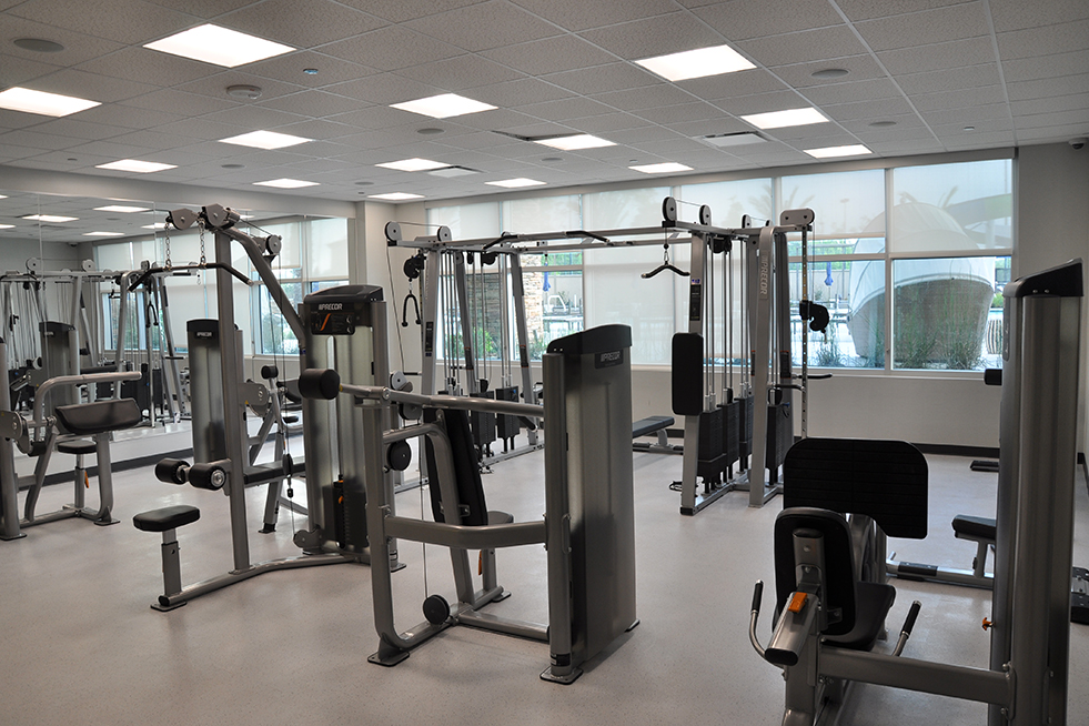 Fitness Center Weight Machines